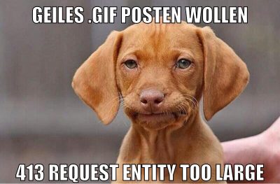 Geiles .gif posten wollen 413 Request Entity Too Large