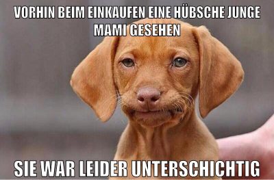 vorhin beim einkaufen eine hübsche junge mami gesehen sie war leider unterschichtig