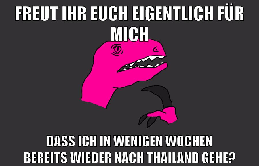 freut ihr euch eigentlich für mich dass ich in wenigen wochen bereits wieder nach thailand gehe?