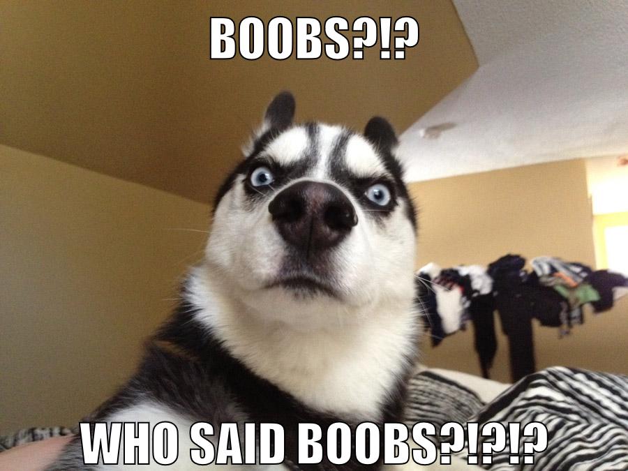 Boobs?!? Who Said BOOBS?!?!?
