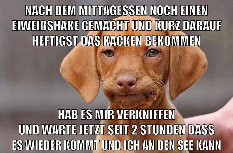 nach dem mittagessen noch einen eiweißshake gemacht und kurz darauf heftigst das kacken bekommen hab es mir verkniffen und warte jetzt seit 2 stunden dass es wieder kommt und ich an den see kann