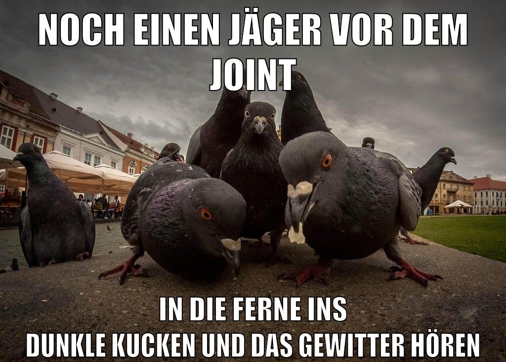 noch einen jäger vor dem joint in die ferne ins dunkle kucken und das gewitter hören