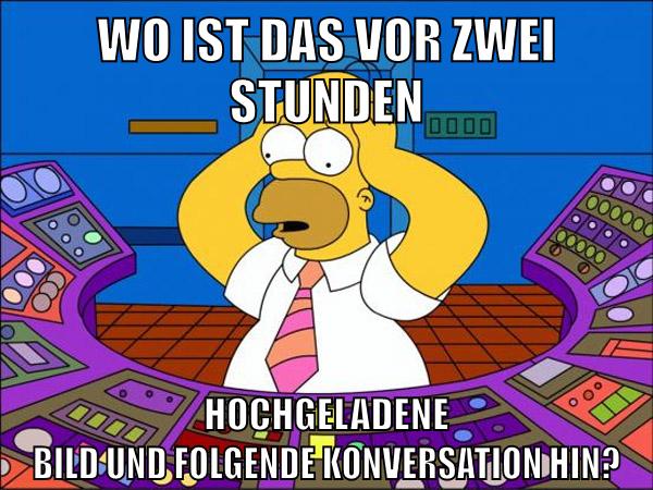 Wo ist das vor zwei stunden hochgeladene Bild und folgende Konversation hin?