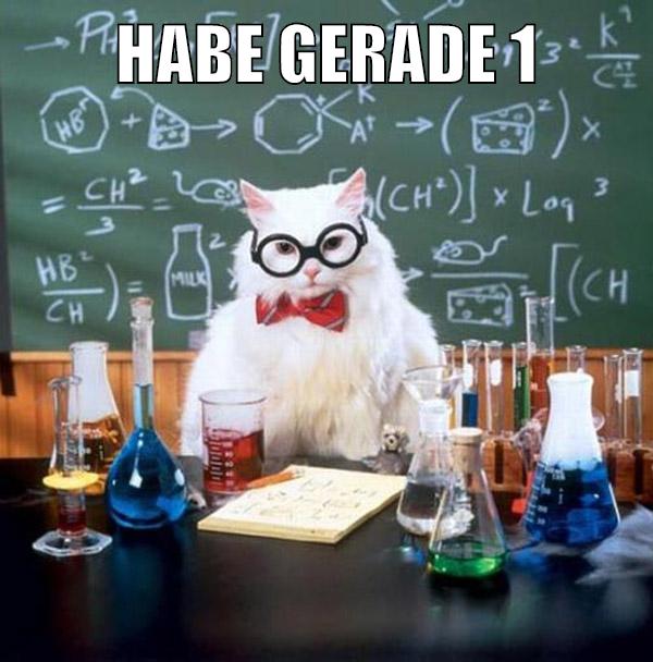 habe gerade 1 kinderüberraschung gegessen und 1 hunt gebastelt