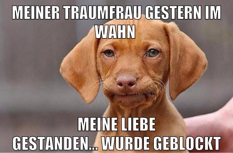 Meiner Traumfrau gestern im wahn meine liebe gestanden... wurde geblockt