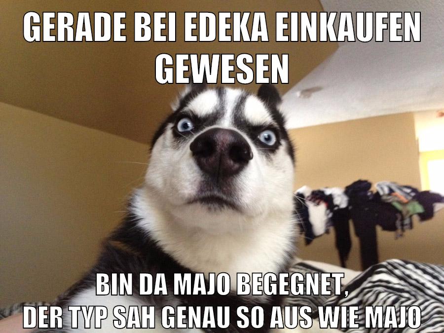 gerade bei edeka einkaufen gewesen bin da majo begegnet, der typ sah genau so aus wie majo