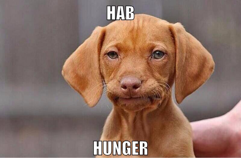 hab hunger