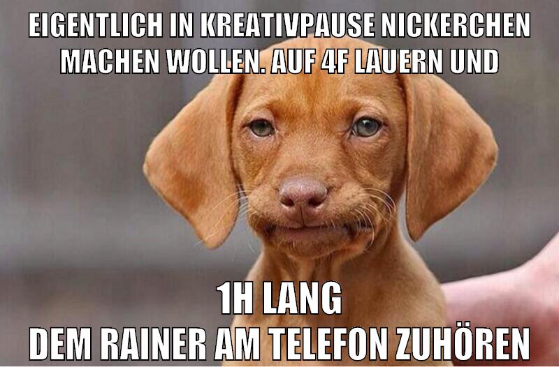 eigentlich in kreativpause nickerchen machen wollen. auf 4f lauern und 1h lang dem rainer am telefon zuhören
