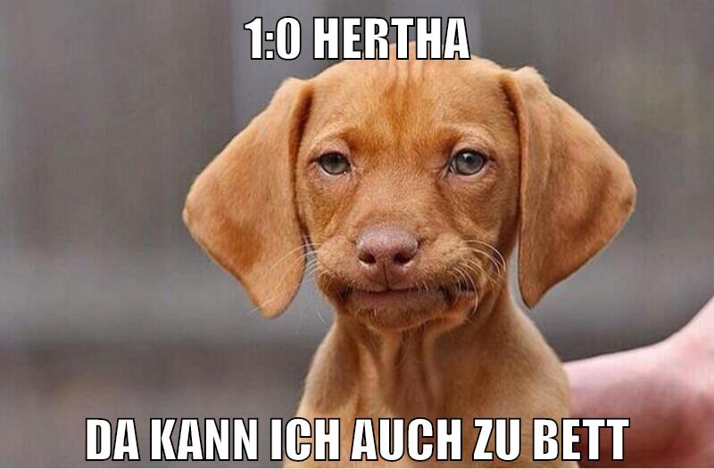 1:0 Hertha da kann ich auch zu bett