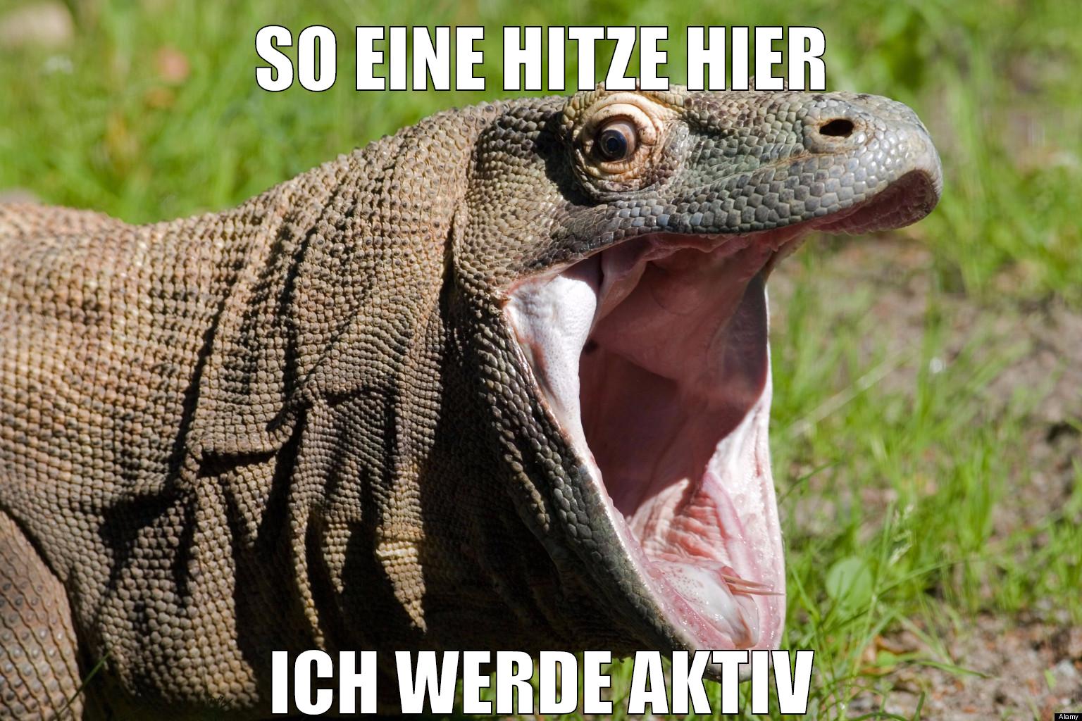 so eine hitze hier ich werde aktiv
