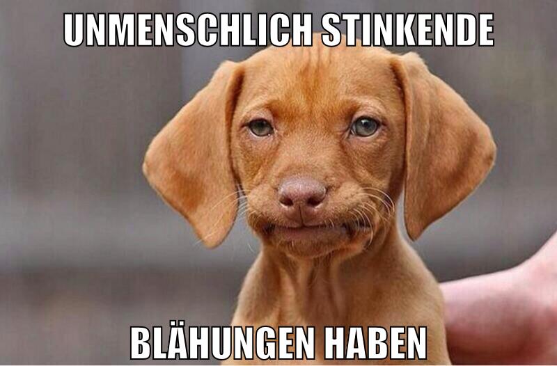 unmenschlich stinkende blähungen haben