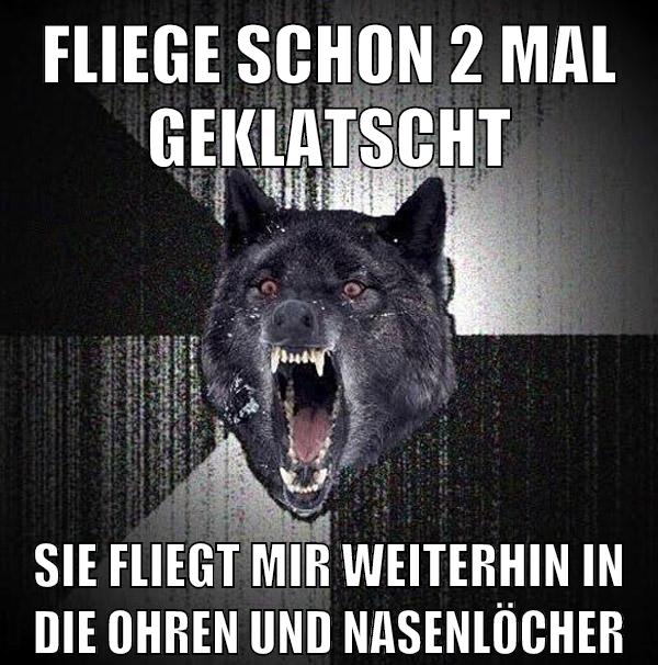 fliege schon 2 mal geklatscht sie fliegt mir weiterhin in die ohren und nasenlöcher