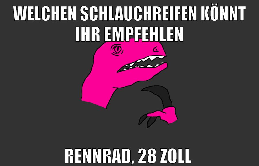 welchen schlauchreifen könnt ihr empfehlen rennrad, 28 zoll