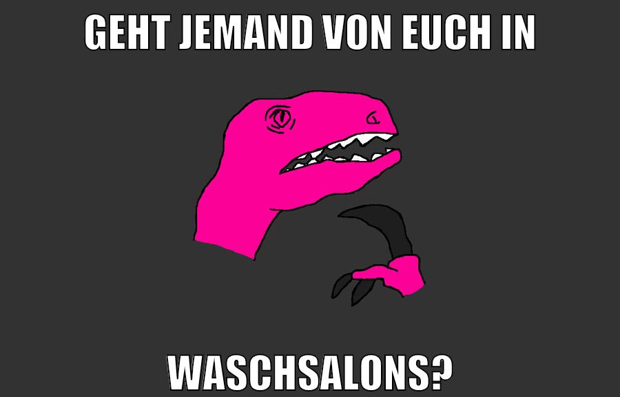 geht jemand von euch in waschsalons?
