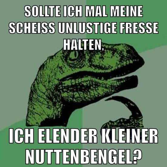 sollte ich mal meine scheiß unlustige fresse halten, ich elender kleiner nuttenbengel?
