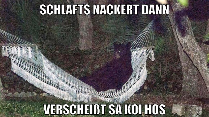 schlafts nackert dann verscheißt sa koi hos
