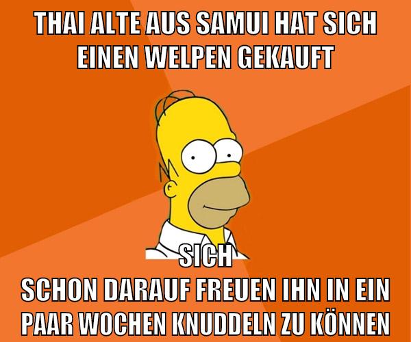 thai alte aus samui hat sich einen welpen gekauft sich schon darauf freuen ihn in ein paar wochen knuddeln zu können