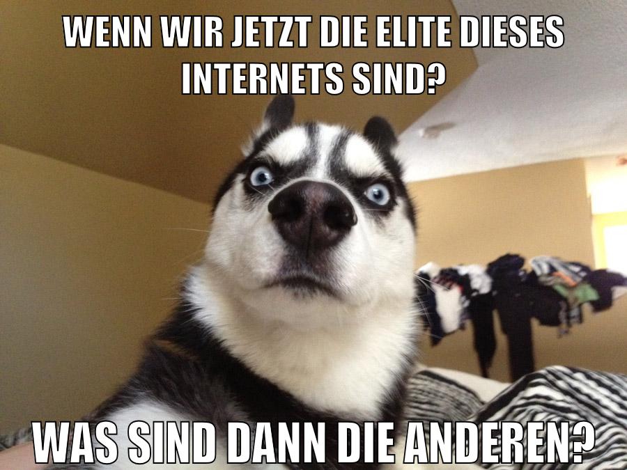 wenn wir jetzt die elite dieses internets sind? was sind dann die anderen?