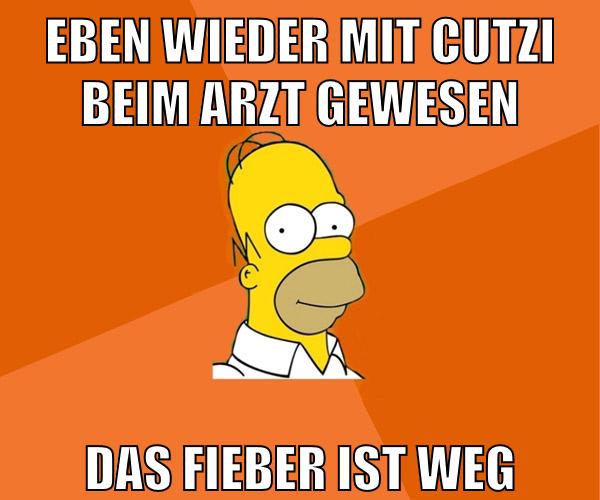 eben wieder mit cutzi beim arzt gewesen das fieber ist weg
