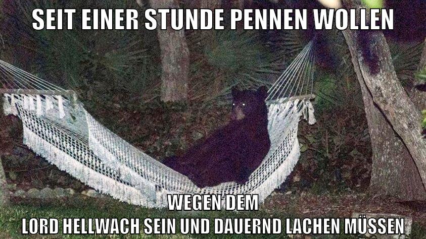 seit einer stunde pennen wollen wegen dem lord hellwach sein und dauernd lachen müssen