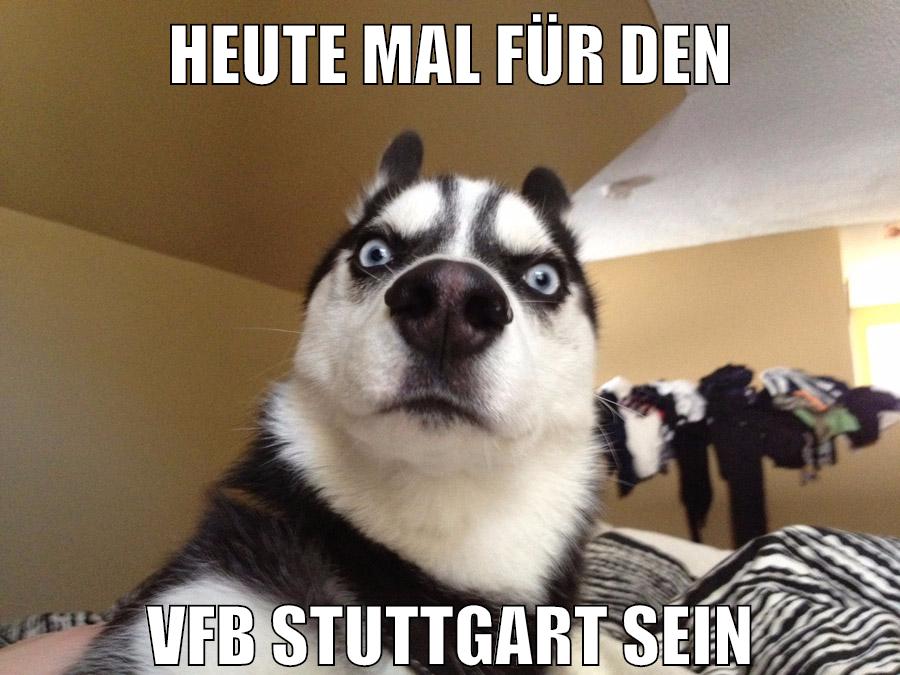 heute mal für den vfb stuttgart sein