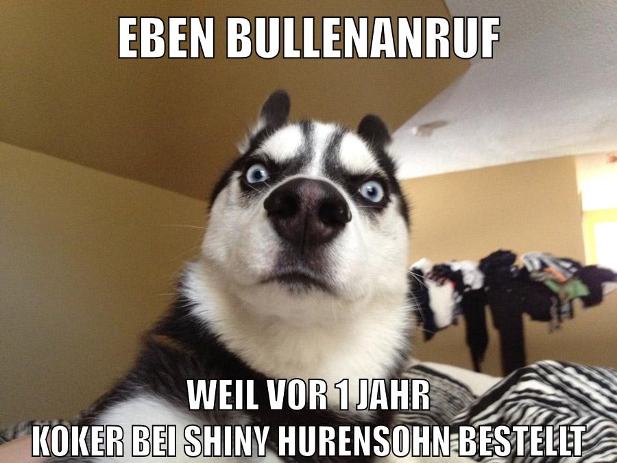 eben bullenanruf weil vor 1 Jahr koker bei shiny hurensohn bestellt