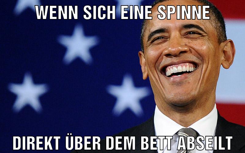 wenn sich eine spinne direkt über dem bett abseilt