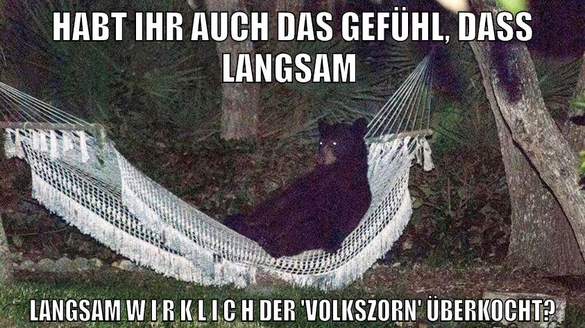 HABT IHR AUCH DAS GEFÜHL, DASS LANGSAM LANGSAM W I R K L I C H DER 'VOLKSZORN' ÜBERKOCHT?