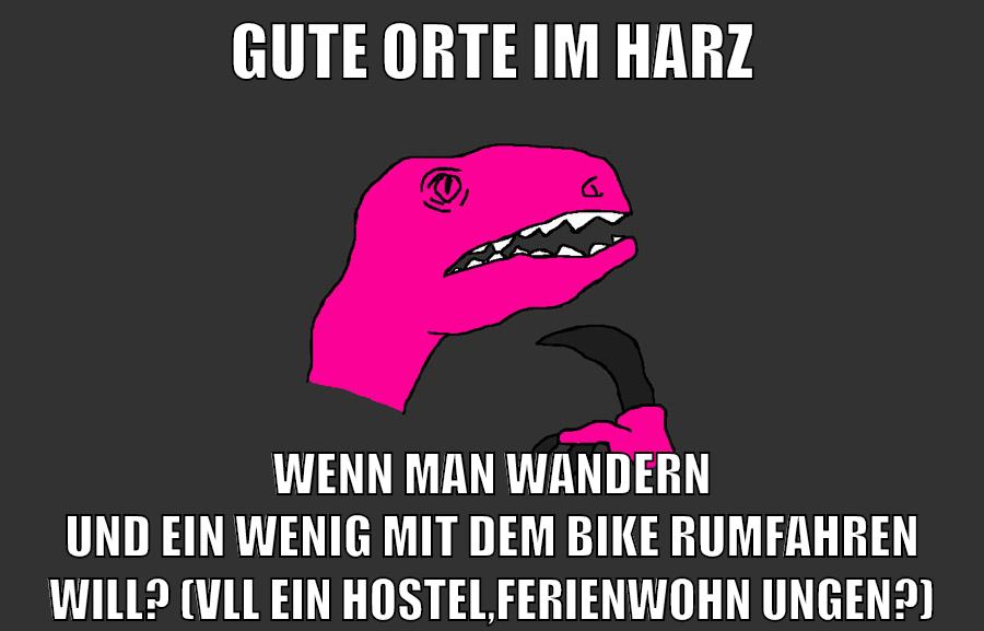 gute orte im harz wenn man wandern und ein wenig mit dem bike rumfahren will? (vll ein hostel,ferienwohnungen?)