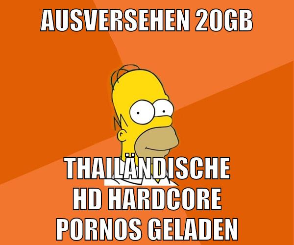 ausversehen 20gb thailändische hd hardcore pornos geladen