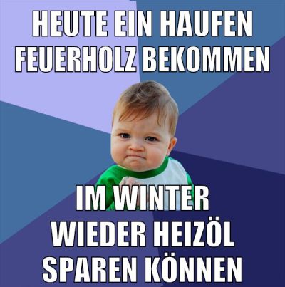 heute ein haufen feuerholz bekommen im winter wieder heizöl sparen können