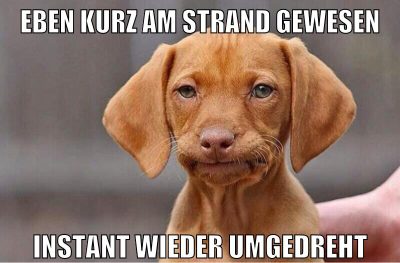 eben kurz am strand gewesen instant wieder umgedreht
