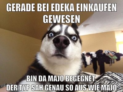 gerade bei edeka einkaufen gewesen bin da majo begegnet, der typ sah genau so aus wie majo