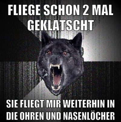 fliege schon 2 mal geklatscht sie fliegt mir weiterhin in die ohren und nasenlöcher