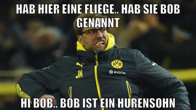 Hab hier eine Fliege.. hab sie bob genannt Hi bob.. BOB IST EIN HURENSOHN