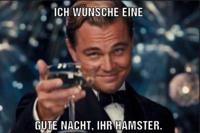 Ich wünsche eine Gute Nacht, ihr Hamster.