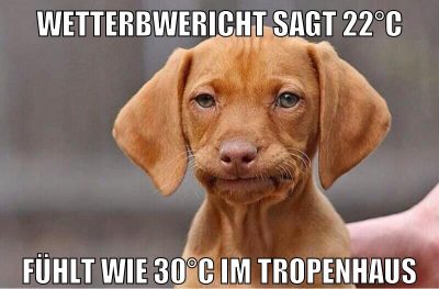 wetterbwericht sagt 22°C fühlt wie 30°C im tropenhaus