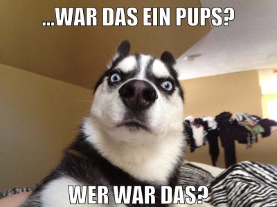 ...war das ein pups? WER WAR DAS?