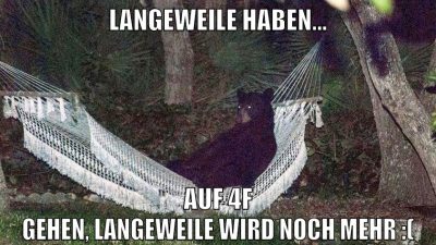langeweile haben... auf 4f gehen, langeweile wird noch mehr :(
