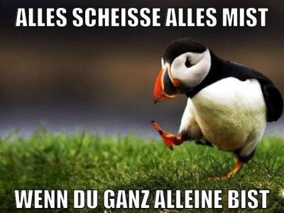 alles scheiße alles mist wenn du ganz alleine bist