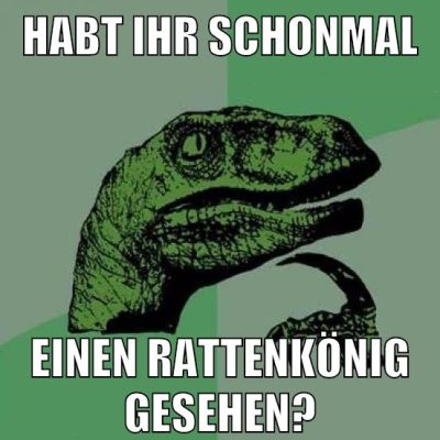 habt ihr schonmal einen rattenkönig gesehen?