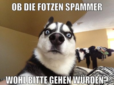 ob die fotzen spammer wohl bitte gehen würden?