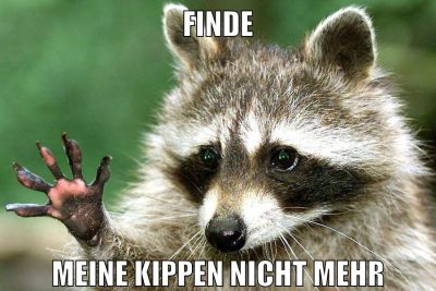 finde meine kippen nicht mehr