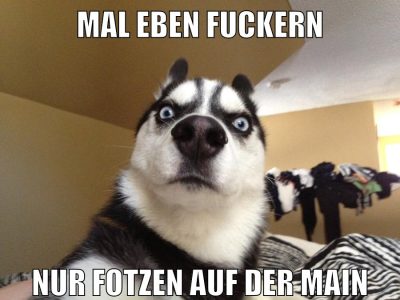 mal eben fuckern nur fotzen auf der main