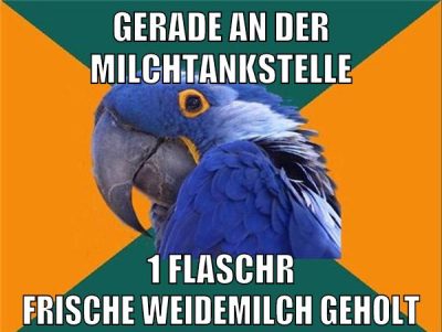 gerade an der milchtankstelle 1 flaschr frische weidemilch geholt