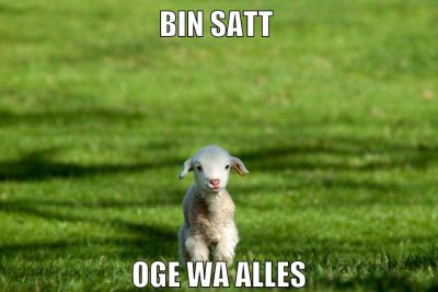 bin satt oge wa alles