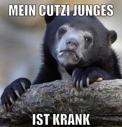 mein cutzi junges ist krank
