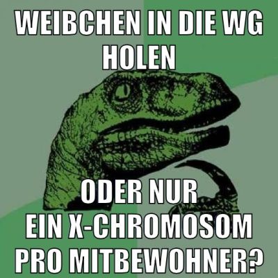 Weibchen in die wG Holen Oder nur ein X-Chromosom Pro Mitbewohner?