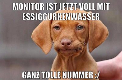 Monitor ist jetzt voll mit essiggurkenwasser ganz tolle nummer :/