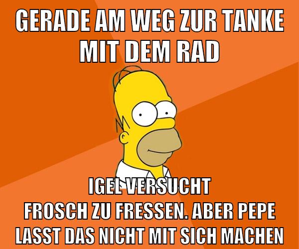 Gerade am Weg zur Tanke mit dem Rad Igel versucht frosch zu fressen. Aber Pepe lasst das nicht mit sich machen